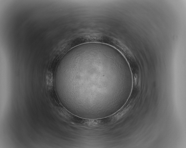 X0000116111251200911231138