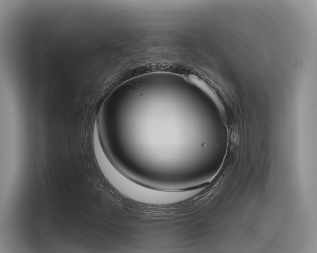 X0000116111252200911231138