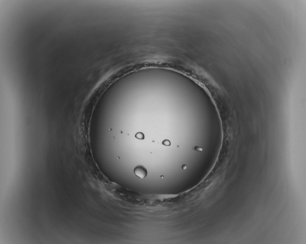 X0000116111256200911231138