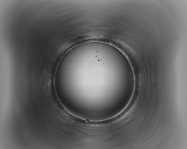 X0000116111257200911231138