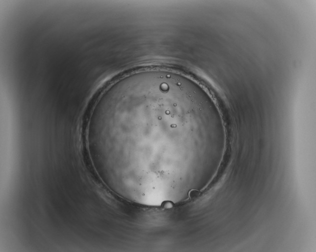 X0000116111259200911231138