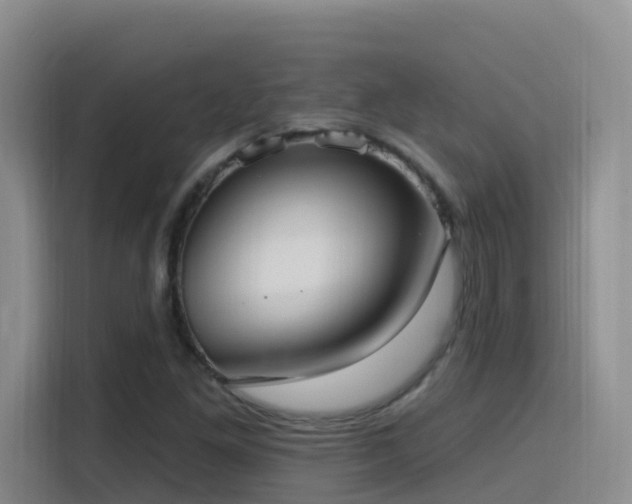 X0000116111261200911231138