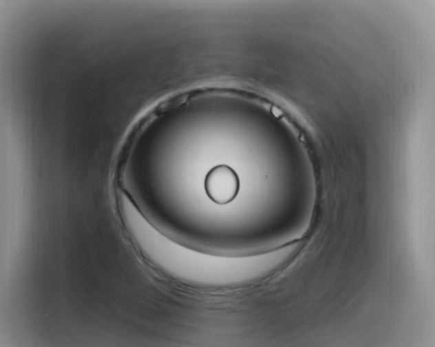 X0000116111264200911231138