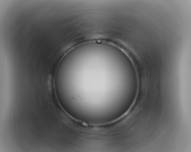 X0000116111265200911231138