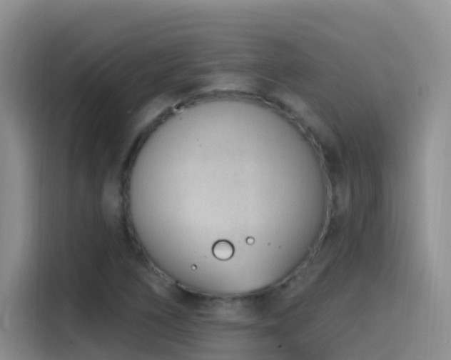 X0000116111266200911231138