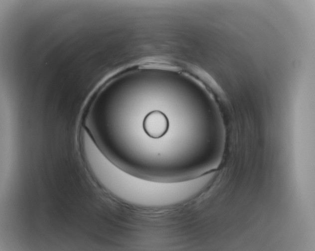 X0000116111268200911231138