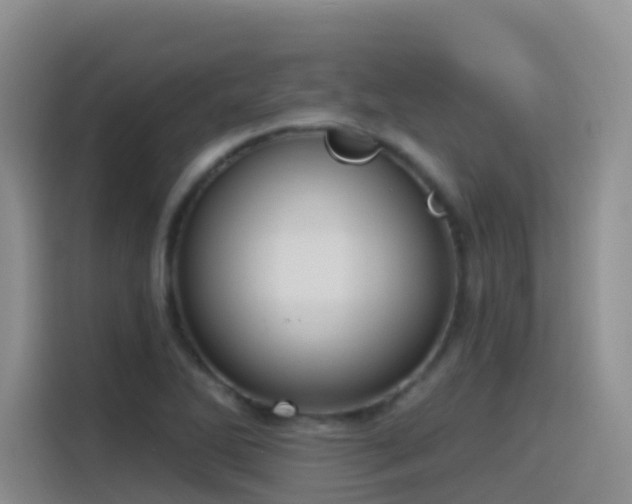 X0000116111270200911231138