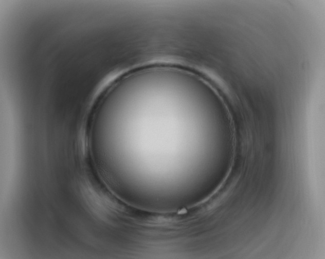 X0000116111271200911231138