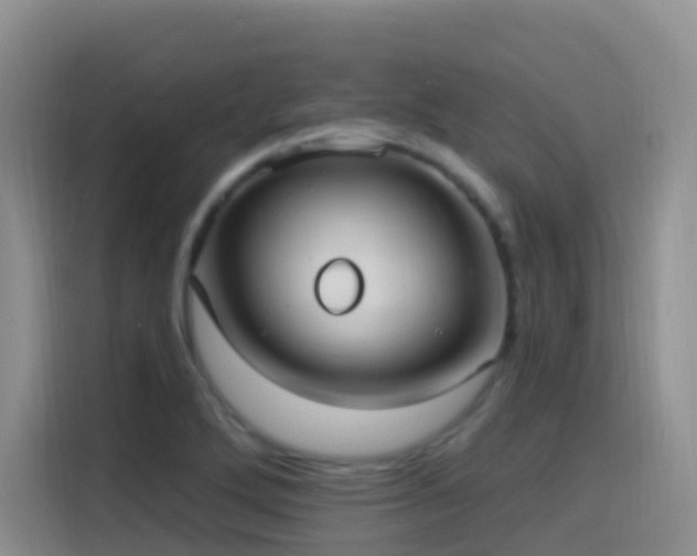 X0000116111272200911231138