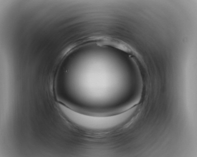 X0000116111273200911231138