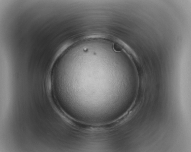 X0000116111274200911231138