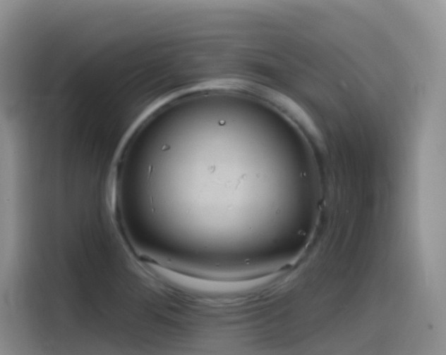 X0000116111276200911231138