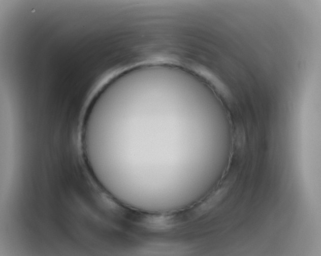 X0000116111278200911231138