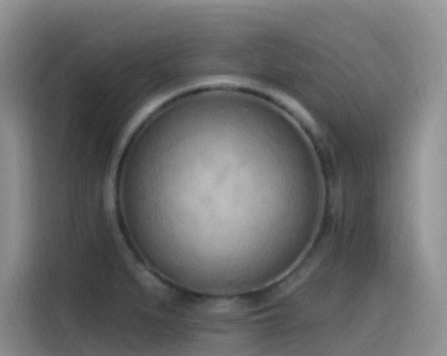 X0000116111279200911231138