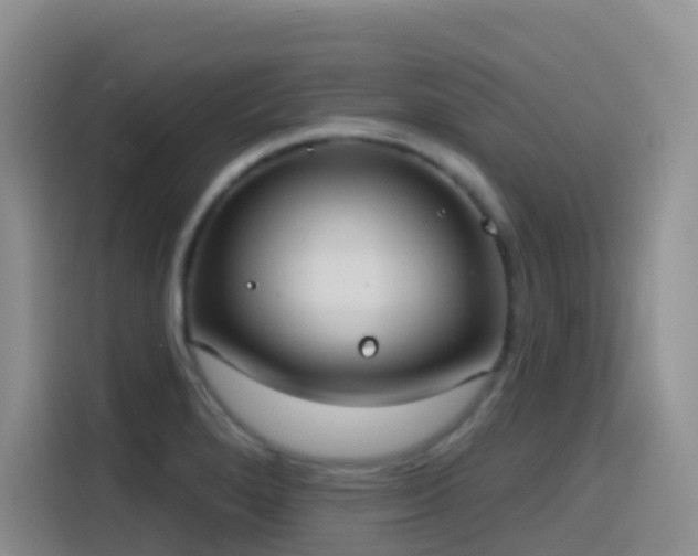 X0000116111280200911231138