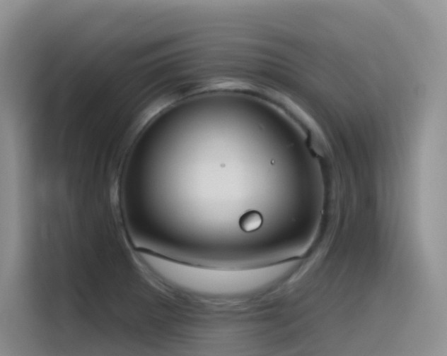 X0000116111281200911231138