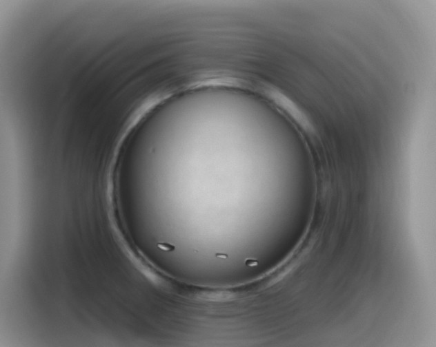 X0000116111282200911231138