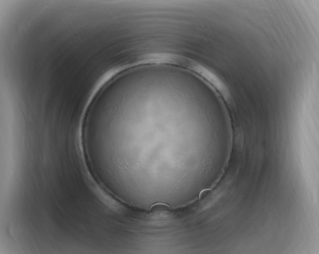 X0000116111283200911231138