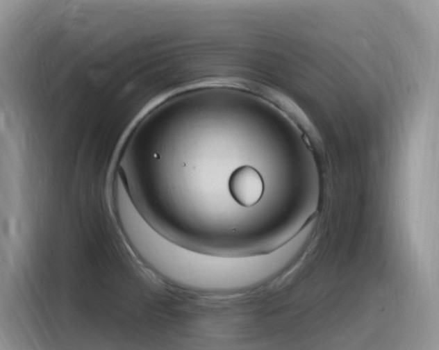 X0000116111284200911231138