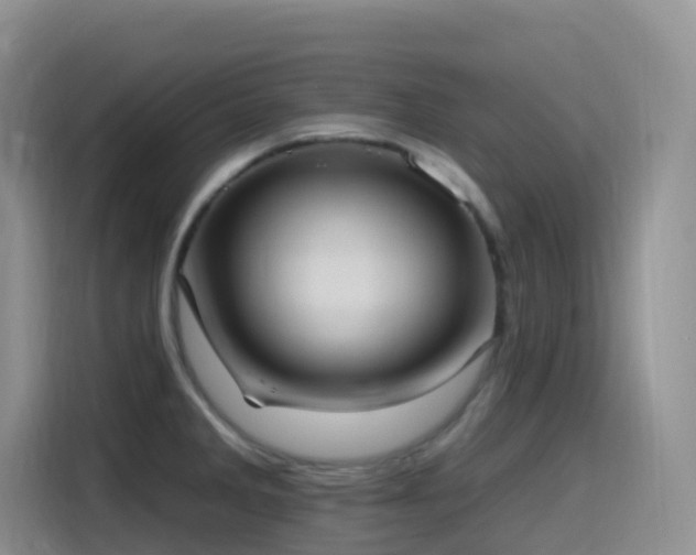 X0000116111285200911231138