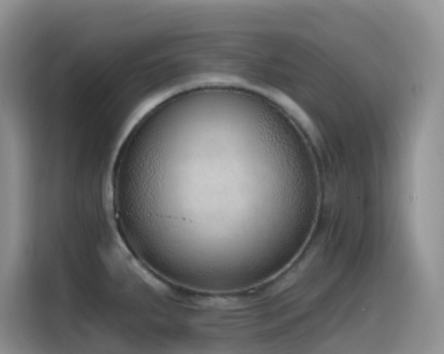 X0000116111287200911231138