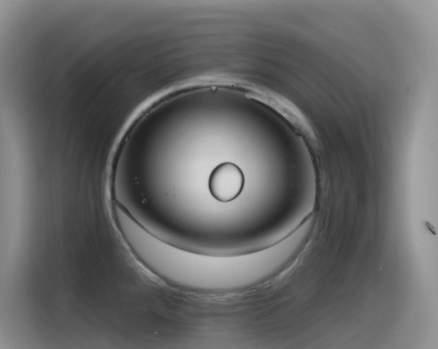 X0000116111288200911231138