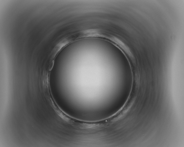 X0000116111289200911231138