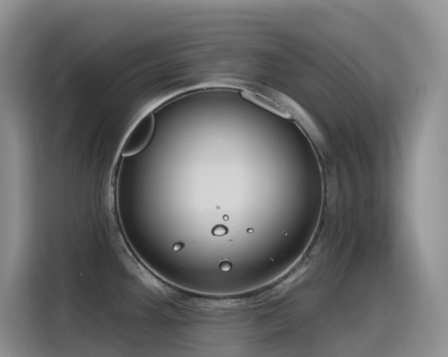 X0000116111292200911231138