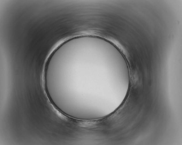 X0000116111294200911231138