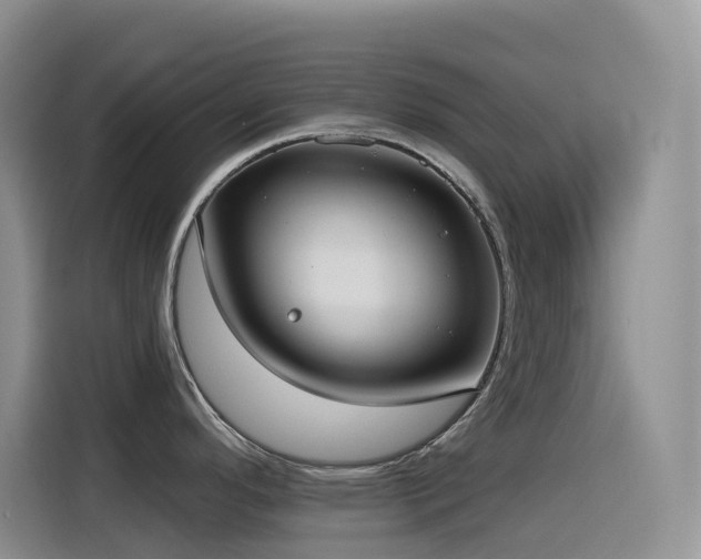 X0000116111296200911231138