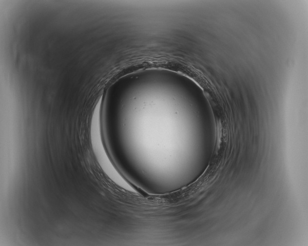X0000116111298200911231137