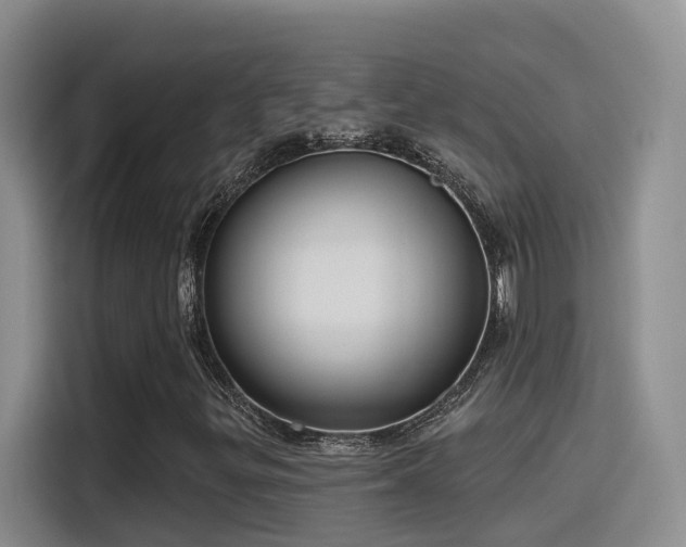 X0000116111299200911231137