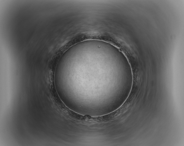 X0000116111301200911231137