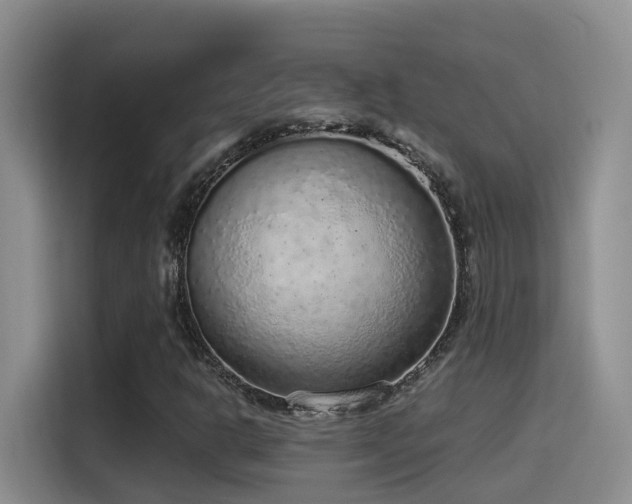 X0000116111302200911231137