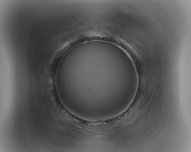 X0000116111303200911231137