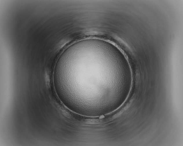 X0000116111305200911231137