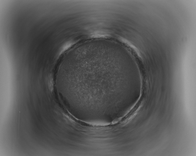 X0000116111306200911231137