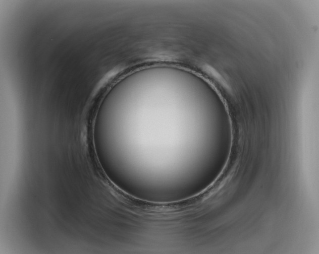 X0000116111307200911231137
