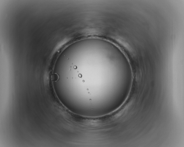 X0000116111309200911231137