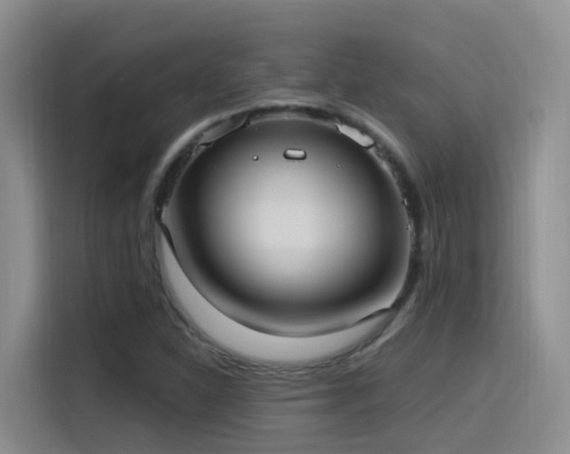 X0000116111310200911231137