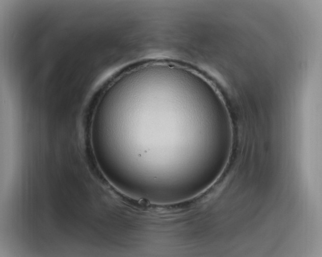 X0000116111311200911231137
