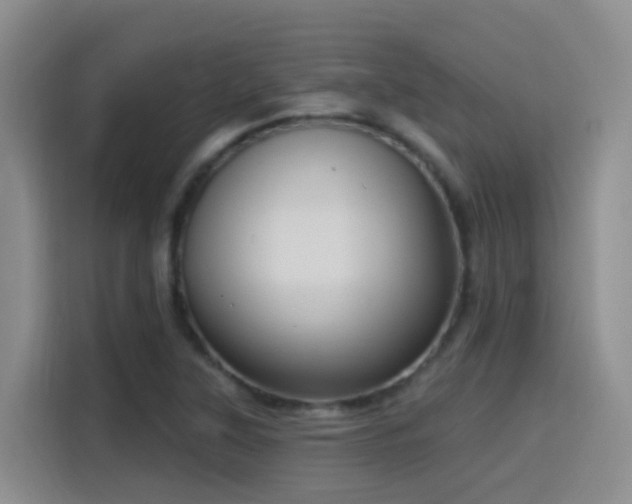 X0000116111315200911231137
