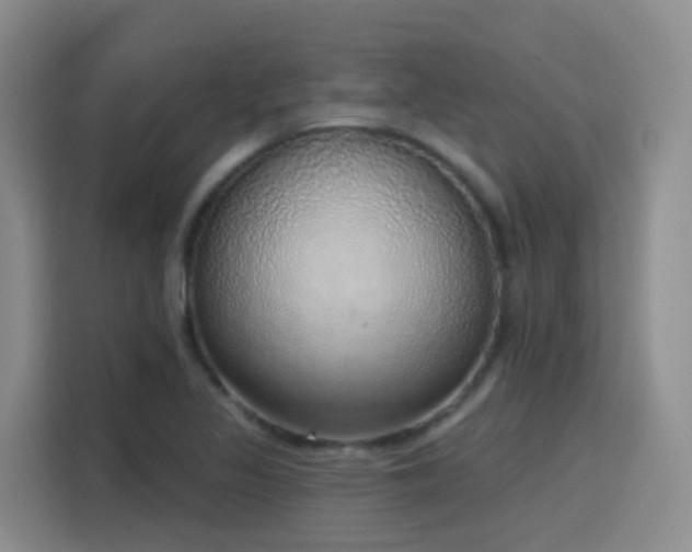 X0000116111317200911231137
