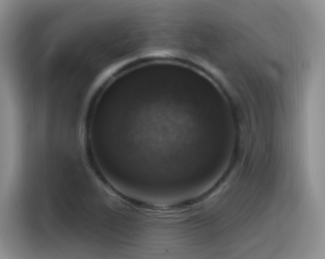 X0000116111319200911231137