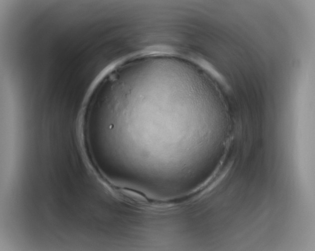 X0000116111325200911231138