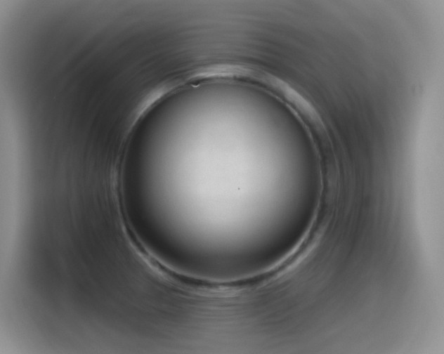 X0000116111329200911231138