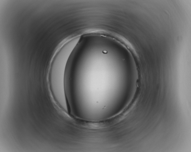X0000116111330200911231138