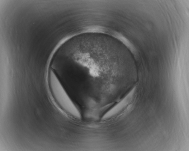 X0000116111331200911231138