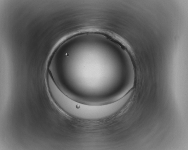 X0000116111334200911231138