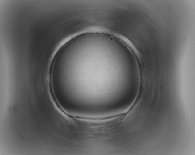 X0000116111335200911231138